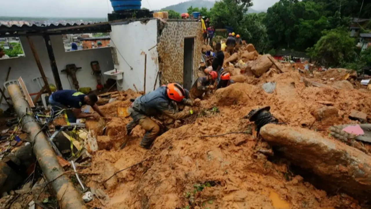 Фото: Nelson Antoine/Shutterstock.com