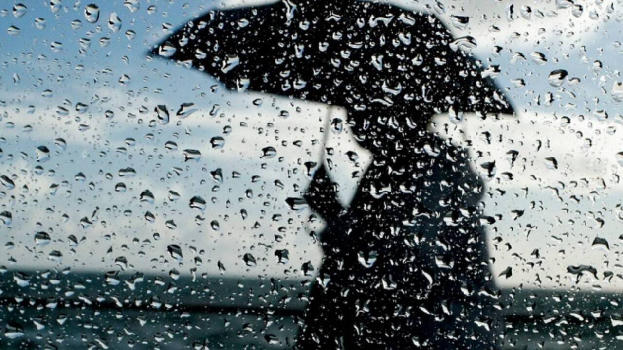 Бүгін еліміздің басым бөлігінде жел тұрып, жаңбыр жауады