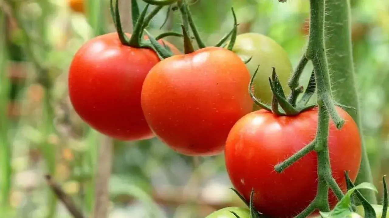 Фото Depositphotos.com