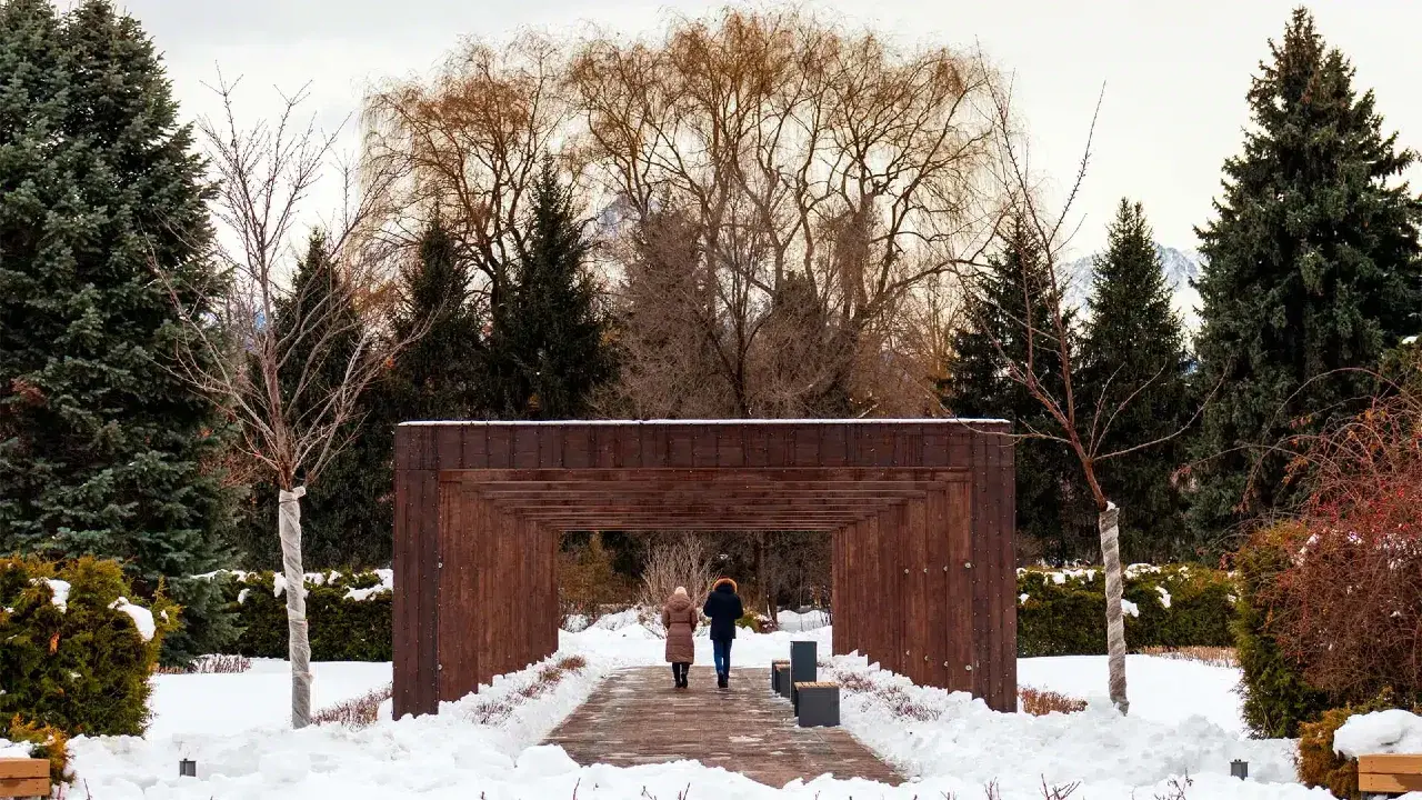 Фото: shutterstock