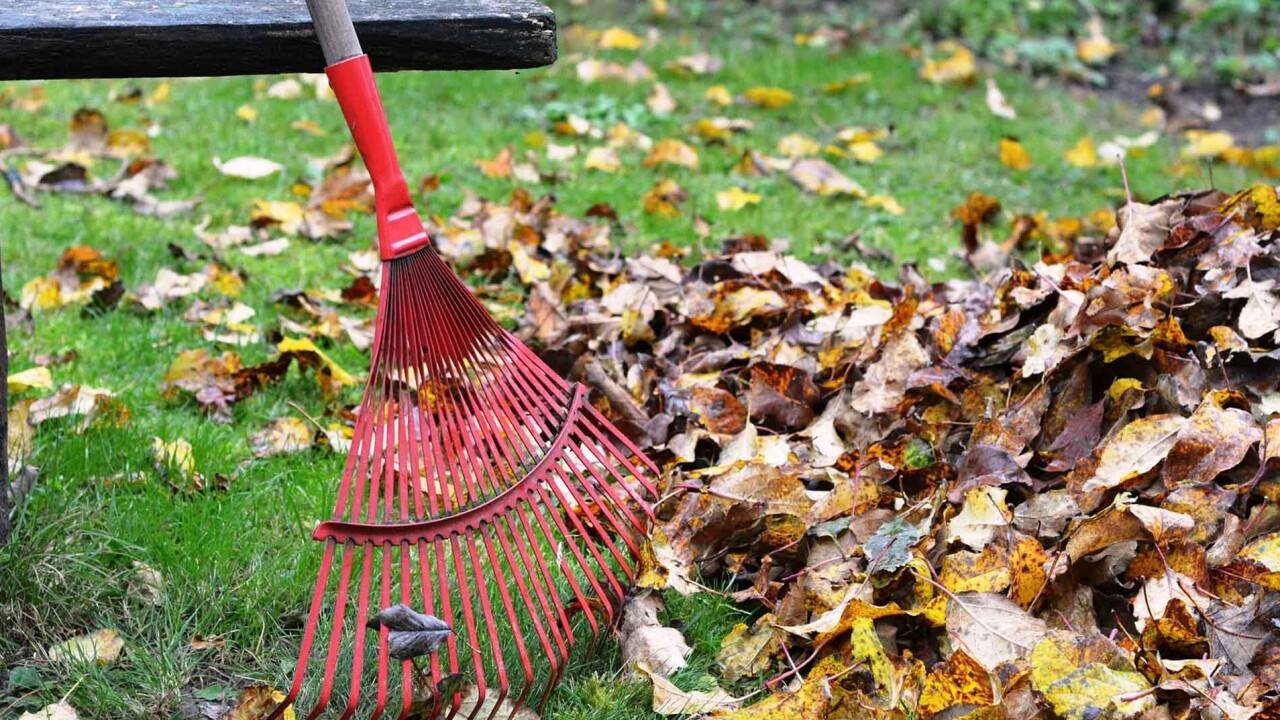 Фото: zhanaqorgan-tynysy.kz