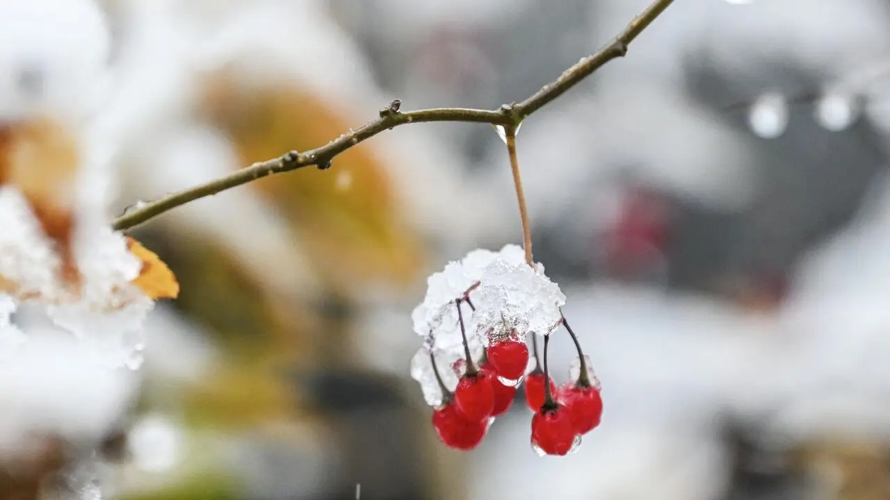 Фото: Depositphotos.com