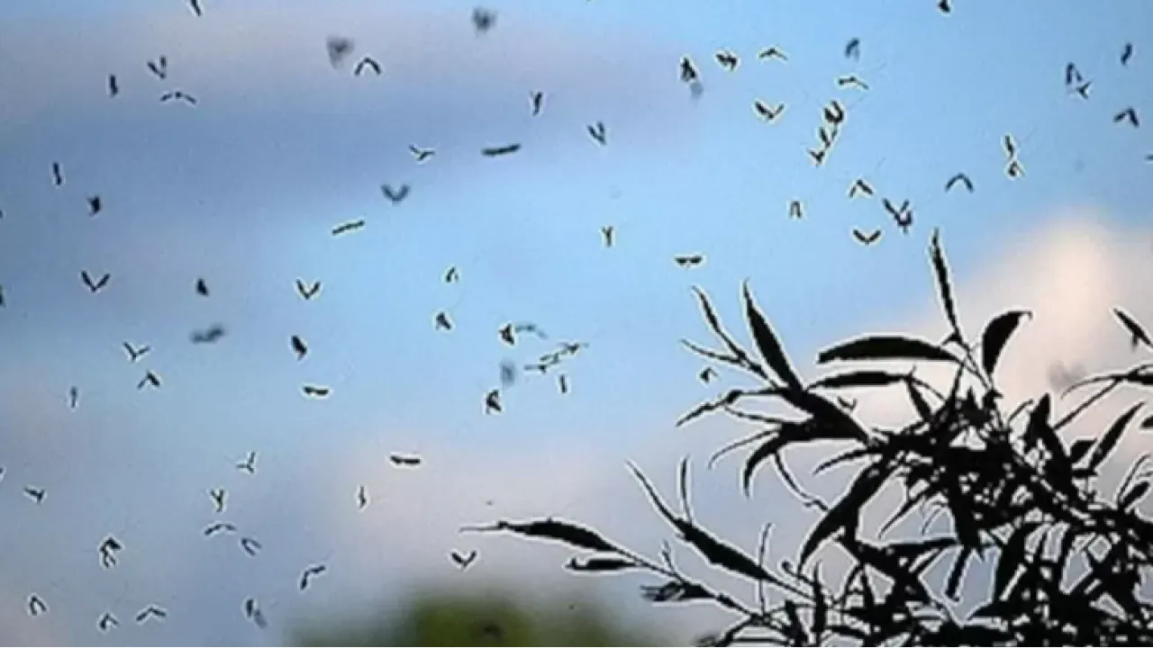 Фото Depositphotos.com