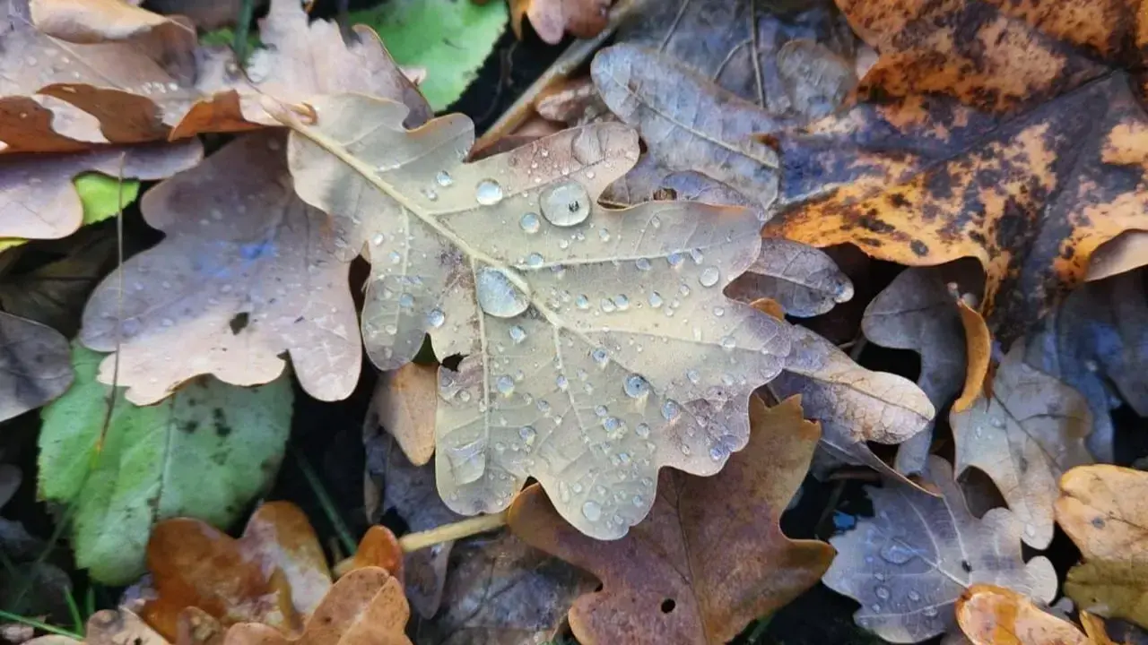 Фото Depositphotos.com