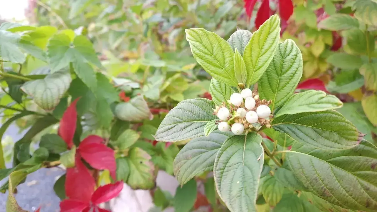 Фото: Informburo.kz