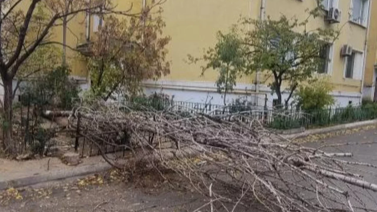 Ақтауда адамдардың үстіне аялдама құлады: бір адам ауруханаға жеткізілді