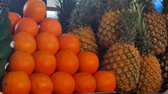 Сколько стоят новогодние деликатесы на оптовке в Алматы: красная рыба, икра, фрукты