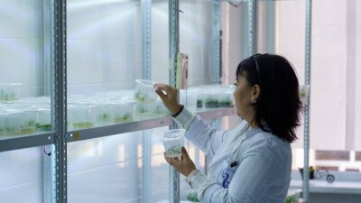 Как гипоксия помогает пациентам с аутизмом и зачем мышей и рептилий отправляют в космос