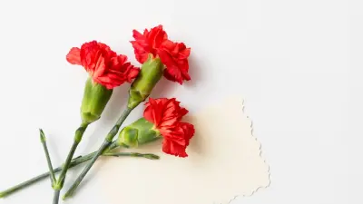 Песни войны, трибьют-группы "Кино" и аниме-вечера. Как интересно провести выходные 9, 10 и 11 мая в Алматы и Астане