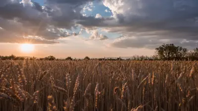 Таксист с дипломом агронома. Откуда берутся корни у кадрового голода в АПК Казахстана