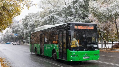 Изменятся ли цены за проезд, если сервисом автобусов в Алматы займутся заводы-производители