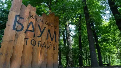 Асфальт или подснежники? Алматинцы обсуждают судьбу рощи Баума