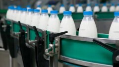 Жамбыл облысында ет пен сүт өндірісі артты