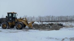 В Астане ликвидировано более 400 стихийных свалок с начала года