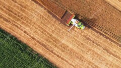 Жамбыл облысында ауыл шаруашылығы өнімдері 1,4 есе артады