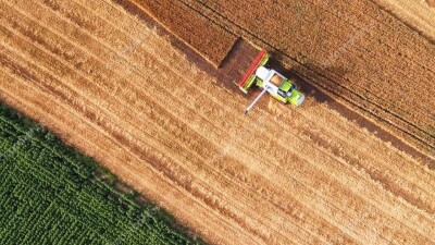 Жамбыл облысында ауыл шаруашылығы өнімдері 1,4 есе артады