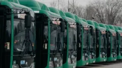 Новый автобусный маршрут до Кок-Тобе запустят в Алматы