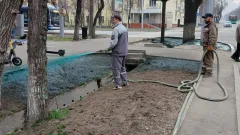 "Покраску" газонов объяснили в акимате Алматы