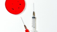 Сибирская язва на скотном рынке в Атырау: диагноз подтвердился у работника убойного цеха