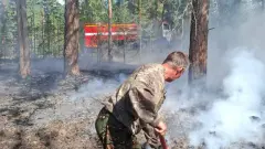 Ещё два пожара вспыхнули в резервате "Семей Орманы"