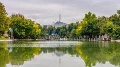 "Показатель нашей культуры". Сколько деревьев и кустарников посадили в Алматы за последние три месяца