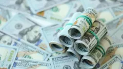 Организаторов финпирамиды, в которую вложили более 390 млн тенге, осудили в Туркестанской области