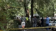 Ветка дерева упала на девушку в Алматы: она погибла