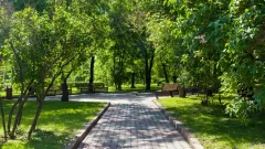 В едином формате: за благоустройство всех парков, скверов и набережных Алматы теперь будет отвечать одна компания