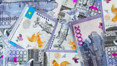 Предполагаемого организатора схемы хищения 238 млн бюджетных тенге вернули в Казахстан