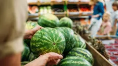 Безопасны ли арбузы и дыни, которые уже продают в Алматы