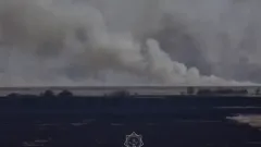 Степной пожар потушили в Костанайской области