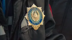 Собаки растерзали ребёнка в Алматинской области: полиция больше двух месяцев выясняет обстоятельства ЧП
