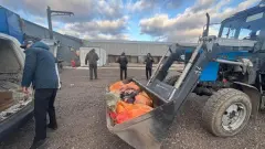 Подпольный цех по переработке мяса выявили в Астане