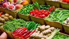 Сельскохозяйственная ярмарка пройдёт в Астане 21 и 22 июня
