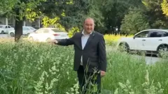 "Это же позор". Высоту бурьяна в центре Усть-Каменогорска измерил на себе аким города