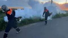 Борьба с комарами и мошками в Астане: горожанам рекомендуют закрывать окна при обработке