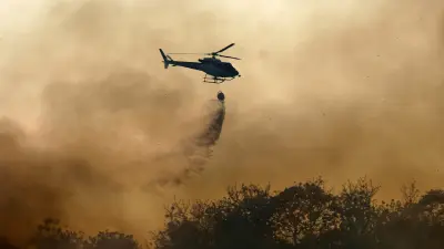 Пожар площадью 2000 га локализовали в Восточно-Казахстанской области