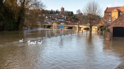 "Даже сарай не построить". Жители подлежащих сносу домов близ Петропавловска возмущены суммой компенсации