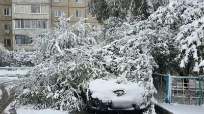 Деревья упали на три автомобиля во время снегопада в Костанае