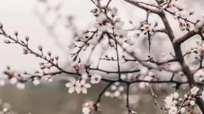 30-градусная жара ожидается на юге Казахстана в выходные