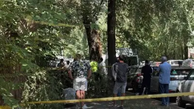 Ветка дерева упала на девушку в Алматы: она погибла
