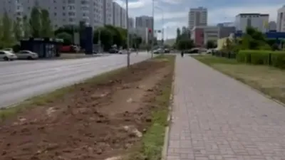 Пропажу деревьев на одной из улиц Астаны объяснили в акимате