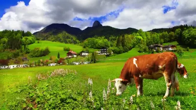 На нехватку пастбищ жалуются сельчане Туркестанской области