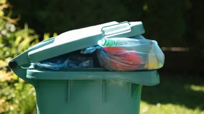 "Наблюдаем сами в акимате". За наполняемостью мусорных контейнеров в Алматы следят через камеры