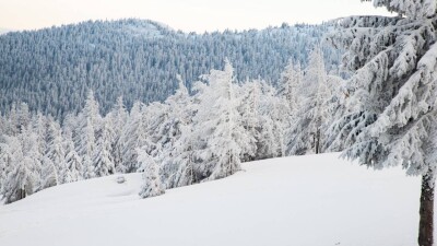 Снегопады и морозы надвигаются на Казахстан