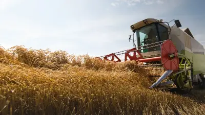 Туркестанские фермеры обвинили частную компанию в уничтожении посевов