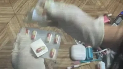 В Туркестанской области медики массово подделывали рецепты на "Трамадол"