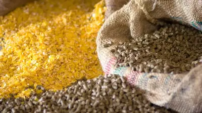 Фермеры Актюбинской области грозят поднять цены на мясо из-за подорожавшего корма