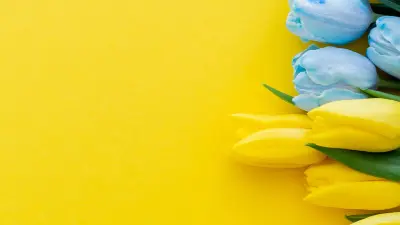 Жительнице Шымкента, сорвавшей краснокнижные тюльпаны, грозит крупный штраф