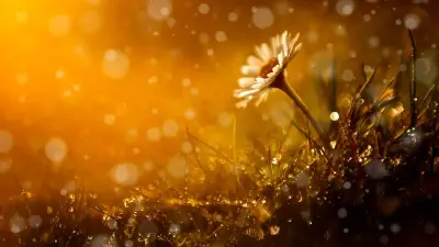 Жара до +38 и частые дожди: какая погода будет в мае в Алматы и Астане